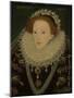 Portrait of Queen Elizabeth I, C.1580 (Oil on Panel)-English School-Mounted Giclee Print