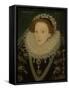 Portrait of Queen Elizabeth I, C.1580 (Oil on Panel)-English School-Framed Stretched Canvas