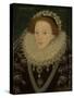 Portrait of Queen Elizabeth I, C.1580 (Oil on Panel)-English School-Stretched Canvas