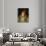 Portrait of Queen Elizabeth I-Marcus Gheeraerts-Giclee Print displayed on a wall