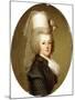 Portrait of Queen Marie Antoinette, 1793-Adolf Ulrich Wertmuller-Mounted Giclee Print