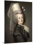 Portrait of Queen Marie Antoinette of France (1755-179)-Adolf Ulrik Wertmüller-Mounted Giclee Print