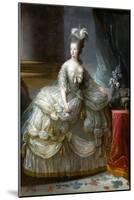 Portrait of Queen Marie Antoinette of France (1755-179)-Marie Louise Elisabeth Vigée-Lebrun-Mounted Giclee Print