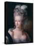 Portrait of Queen Marie Antoinette of France, 1775-Jean-Baptiste André Gautier d'Agoty-Stretched Canvas