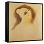 Portrait of Queen Victoria-Sir David Wilkie-Framed Stretched Canvas