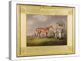 Portrait of 'Quiz', the Property of Lord Rous, after His Last Race at Newmarket-Henry Bernard Chalon-Stretched Canvas