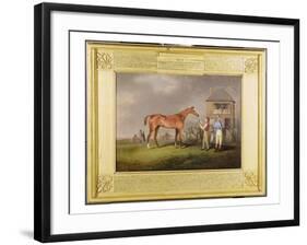 Portrait of 'Quiz', the Property of Lord Rous, after His Last Race at Newmarket-Henry Bernard Chalon-Framed Giclee Print