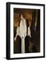 Portrait of Rachel Strong, the Future Countess Henri De Boisgelin, 1924-Léon Bakst-Framed Giclee Print