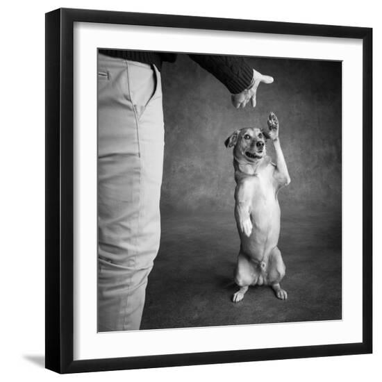 Photographic Print, , large