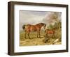 Portrait of Reformer, Blucher, Tory and Crib, the Property of Rowland Alston, Esq., 1835-James Ward-Framed Giclee Print