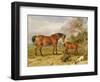 Portrait of Reformer, Blucher, Tory and Crib, the Property of Rowland Alston, Esq., 1835-James Ward-Framed Giclee Print