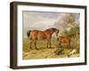 Portrait of Reformer, Blucher, Tory and Crib, the Property of Rowland Alston, Esq., 1835-James Ward-Framed Giclee Print