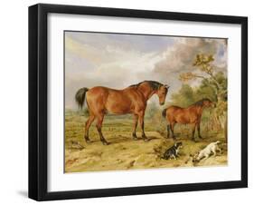 Portrait of Reformer, Blucher, Tory and Crib, the Property of Rowland Alston, Esq., 1835-James Ward-Framed Giclee Print