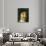 Portrait of Rene Descartes-Frans Hals-Giclee Print displayed on a wall