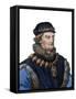 Portrait of Rene of Anjou, also known as King Rene I of Naples (1409-1480)-French School-Framed Stretched Canvas