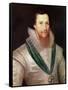 Portrait of Robert Devereux-Marcus, The Younger Gheeraerts-Framed Stretched Canvas