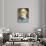 Portrait of Robert Edward Lee C. 1870-null-Giclee Print displayed on a wall