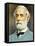 Portrait of Robert Edward Lee C. 1870-null-Framed Stretched Canvas