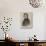 Portrait of Robert Schumann-German School-Giclee Print displayed on a wall