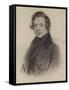 Portrait of Robert Schumann-German School-Framed Stretched Canvas