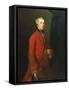 Portrait of Robert Shafto, Called "Bonnie Bobbie Shafto"-Sir Joshua Reynolds-Framed Stretched Canvas