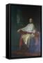 Portrait of Rodolfo Emilio Brignole-Sale-null-Framed Stretched Canvas