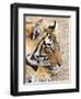 Portrait of Royal Bengal Tiger, Ranthambhor National Park, India-Jagdeep Rajput-Framed Photographic Print