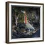 Portrait of rufescent tiger heron (Tigrisoma lineatum) standing outdoors, Porto Jofre, Pantanal...-Panoramic Images-Framed Photographic Print