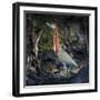 Portrait of rufescent tiger heron (Tigrisoma lineatum) standing outdoors, Porto Jofre, Pantanal...-Panoramic Images-Framed Photographic Print
