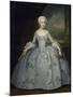 Portrait of Sarah Eleanore Von Fermor, C. 1750-Ivan Yakovlevich Vishnyakov-Mounted Giclee Print