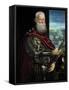 Portrait of Sebastiano Vernier Commander-In-Chief of the Venetian Forces circa 1571-Jacopo Robusti Tintoretto-Framed Stretched Canvas