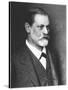 Portrait of Sigmund Freud circa 1900-null-Stretched Canvas