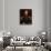 Portrait of Simon Bolivar-null-Giclee Print displayed on a wall