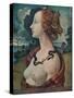 'Portrait of Simonetta Vespucci', c1480, (1939)-Piero di Cosimo-Stretched Canvas