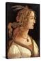 Portrait of Simonetta Vespucci-Sandro Botticelli-Stretched Canvas