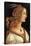 Portrait of Simonetta Vespucci-Sandro Botticelli-Stretched Canvas