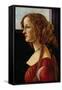 Portrait of Simonetta Vespucci-Sandro Botticelli-Framed Stretched Canvas