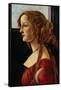 Portrait of Simonetta Vespucci-Sandro Botticelli-Framed Stretched Canvas