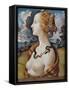 Portrait of Simonetta Vespucci-Piero di Cosimo-Framed Stretched Canvas