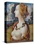 Portrait of Simonetta Vespucci-Piero di Cosimo-Stretched Canvas