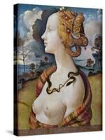 Portrait of Simonetta Vespucci-Piero di Cosimo-Stretched Canvas