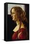 Portrait of Simonetta Vespucci-Sandro Botticelli-Framed Stretched Canvas