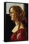 Portrait of Simonetta Vespucci-Sandro Botticelli-Framed Stretched Canvas