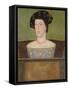 Portrait of Sir Anthony Browne (D.1548) (Oil on Panel)-English School-Framed Stretched Canvas