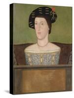 Portrait of Sir Anthony Browne (D.1548) (Oil on Panel)-English School-Stretched Canvas