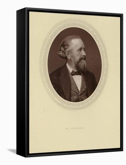 Portrait of Sir Edward Frankland-null-Framed Stretched Canvas