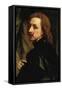 Portrait of Sir Endimion Porter-Sir Anthony Van Dyck-Framed Stretched Canvas