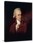 Portrait of Sir Frederick William Herschel-null-Stretched Canvas