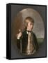 Portrait of Sir Henry William Bayntun, 1780-Thomas Hickey-Framed Stretched Canvas