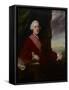 Portrait of Sir James Gray, C.1758-9-Sir Joshua Reynolds-Framed Stretched Canvas